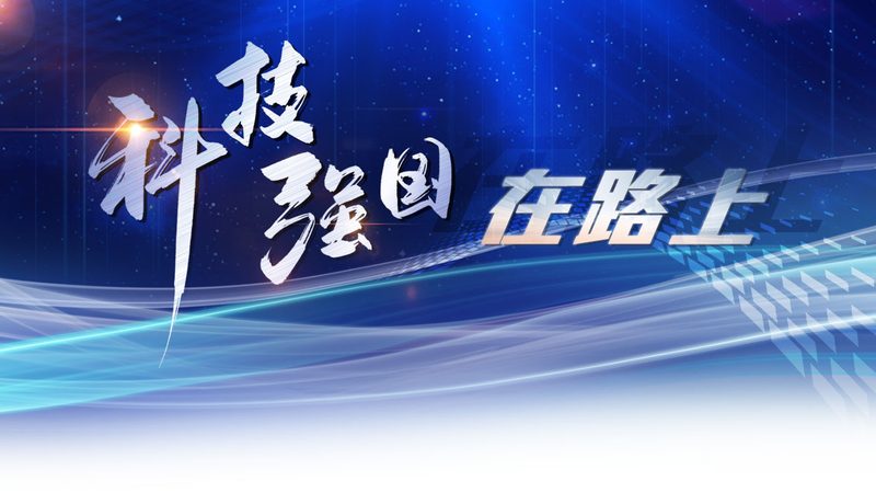 智慧农业物联网平台：构建精准农业的未来
